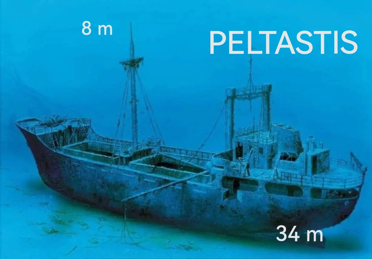 Shipwreck Peltastis